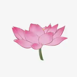 手绘荷花之小清新卡通简约图片素材其他格式下载动漫人物大全