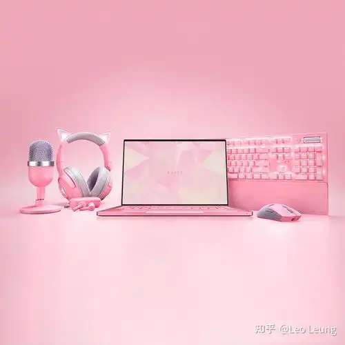 颜粉码住颜值即正义,女神最爱预算万元内适合女生用的高颜值轻薄型笔记本电脑选购指南