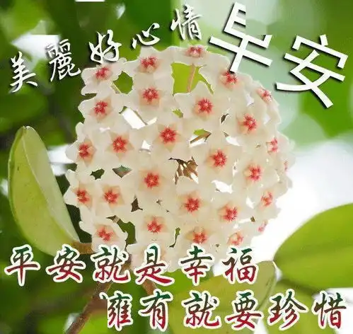 国庆早安正能量阳光问候很暖心清晨早安问候祝福语录短信
