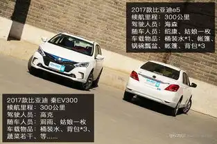 四男两女与2017款比亚迪纯电双雄游草原天路
