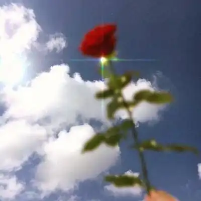 人算不如天算,5月苦尽甘来,年前满堂彩,闷声不吭发大财