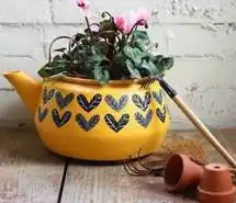 微信头像花盆图片大全微信头像图片大全
