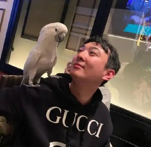 王思聪与男性好友现身外滩,穿粉色短袖搭亮黄色短裤,人群中格外惹眼