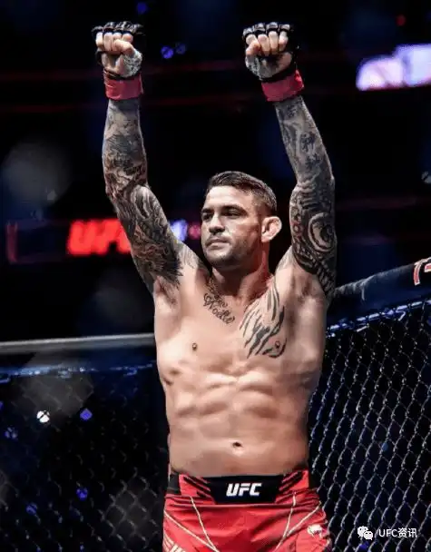 ufc今日讯8.26