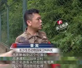2女1男为逃票翻墙进动物园50米外还有7只老虎