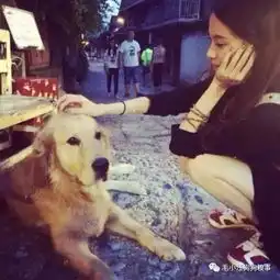 主人忽视狗狗对着地板不停的蹭自己菊花铲屎的看完了莫后悔终生