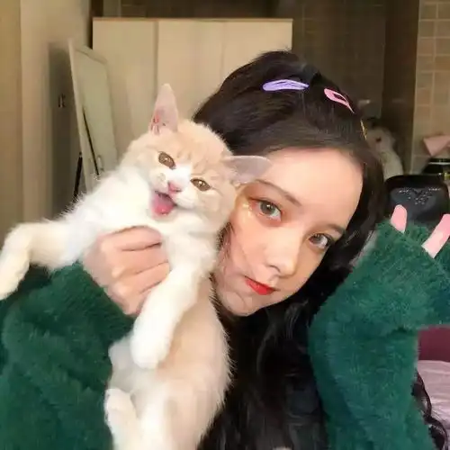 每日头像摸摸小猪头,万事不用愁