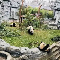 佛山美女小编两天两夜不完全攻略in成都,美食景点一网打尽,赶紧收藏吧
