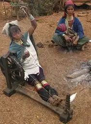 长长的脖子也是一种美丽
