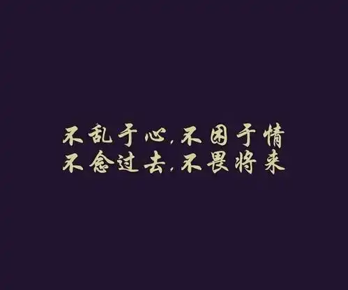 不乱于心不困无情不念过去不畏将来