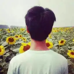 谁有这张图的另一半,发一下谢谢