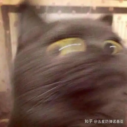 撞情头是种什么体验