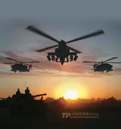 我军炮兵群练边境攻防战