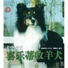 牧羊犬价格,牧羊犬比价导购,牧羊犬怎么样
