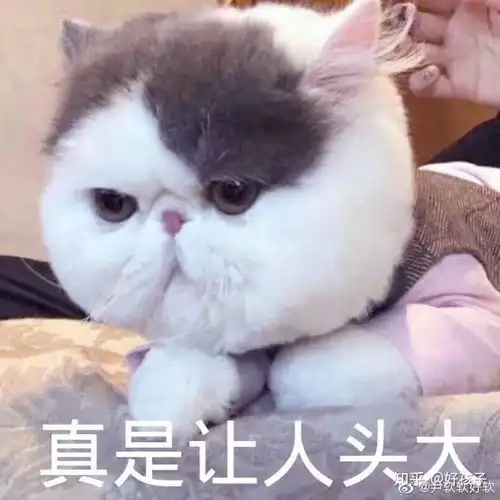 异地男友认为路途遥远不想来找我,我该体谅他吗