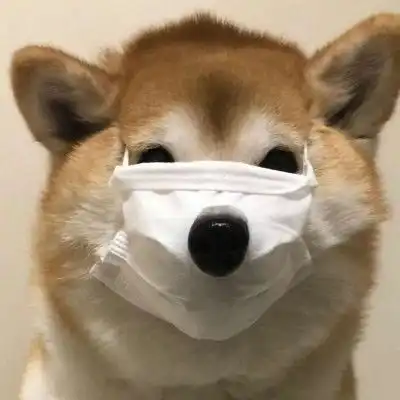 稳居朋友圈沙雕c位的憨憨文案