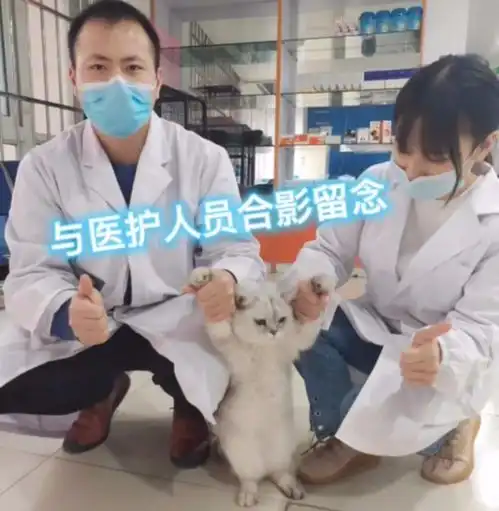 你在食堂做过哪些搞笑的事情女大学生的做法简直了哈哈