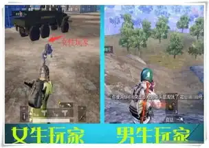 同样是玩吃鸡,男生vs女生,女玩家谁让你窥我屏了