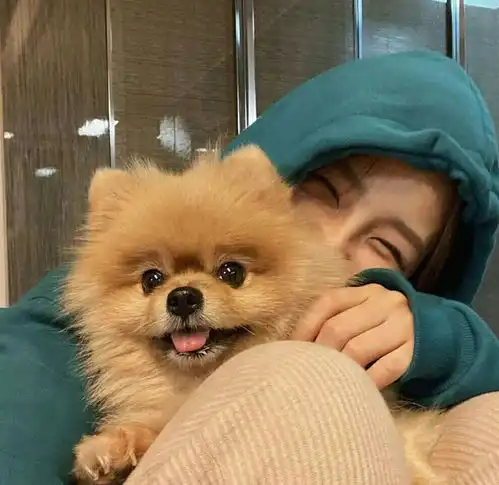 适合在晚上和女生聊的话题