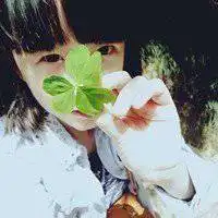 唯美意境森林头像微信头像图片大全