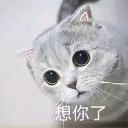 王者荣耀城市赛肇庆站第二场海选本周六天骄假日休闲酒店开赛