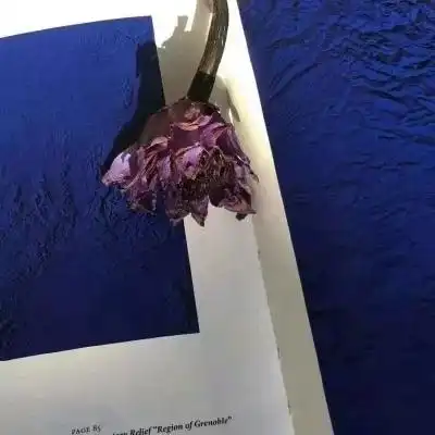 蓝色系头像且听风吟,静待花开