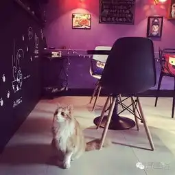 探路子魔都这些餐厅欢迎自带宠物,快带着自家宝贝一起劈情操
