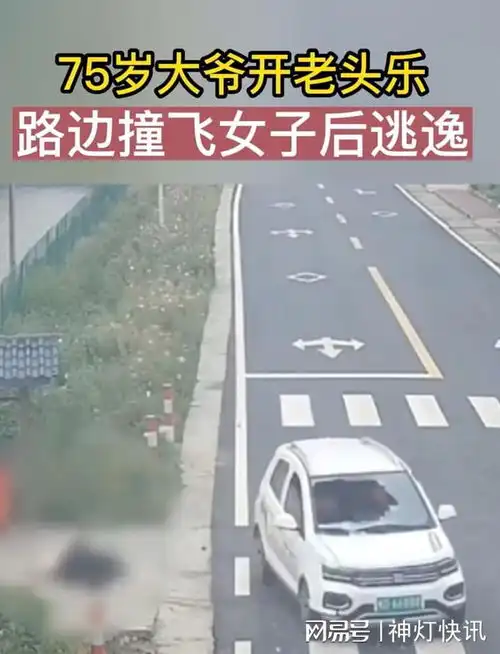 阿拉丁中文网大爷开老头乐撞飞路边一女子后,驾车逃逸
