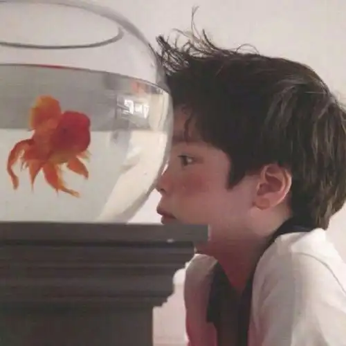 怎么看待那些喜欢用男头像的女生