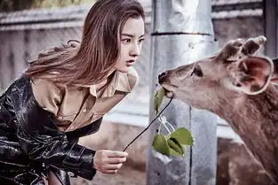 宋祖儿首登杂志封面化身丛林少女喂食小鹿