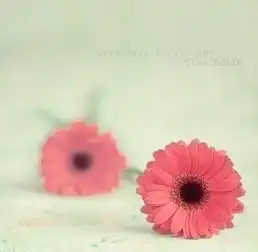 花影丛绕秋日菊傲然丛中笑