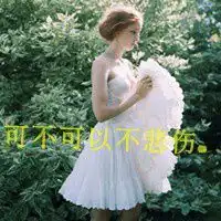 三妻四妾