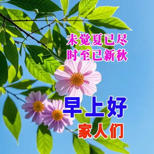 今日处暑漂亮问候语图片温馨祝福