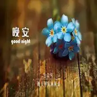 女生晚安头像图片微信头像图片大全