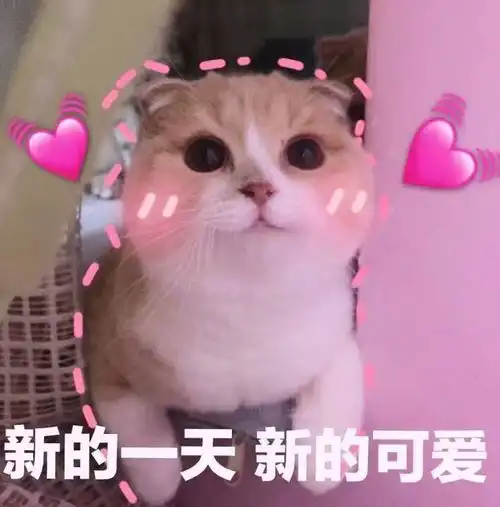 幽默笑话,刚才去朋友家串门,在客厅不小心踩了他家狗的脚