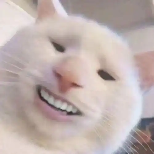 最爽留学生一觉醒来,我的母校升咖了