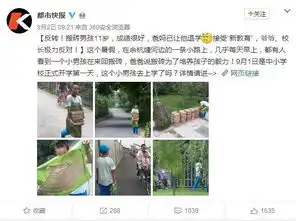 父母让11岁孩子退学去搬砖所谓新教育是创新还是坑娃