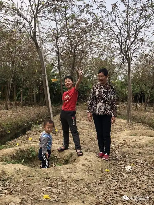 11岁男孩昨日走失,至今未归,麻烦街坊们帮忙留意一下