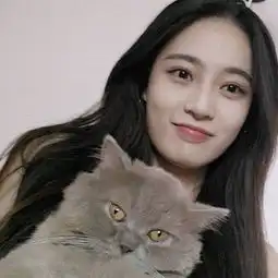 最新气质美女和萌猫咪头像大全小清新女生手抱动物头像2018