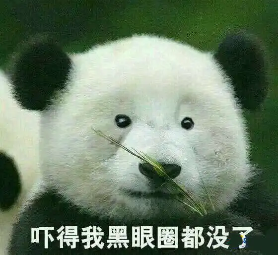 吴莎曾给刘翔戴绿帽飞人霸气回应有事冲我来