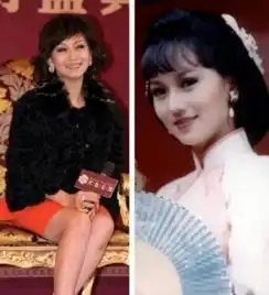 那英杨钰莹杨澜王菲许晴逆生长中年女星容貌身材pk