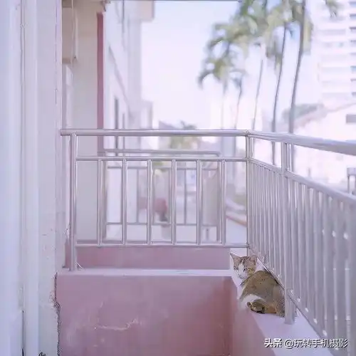 少女心爆棚照片这样拍,超级好看