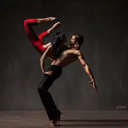 卡司大揭秘高颜值高海拔,他们却偏偏要靠才华让世界惊叹