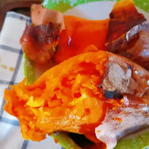 烤红薯的做法烤红薯怎么做琴韵优雅的菜谱美食天下