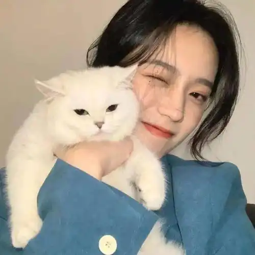 头像一些夸人的彩虹屁文案