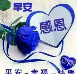 清晨阳光漂亮的正能量问候语图片,早安正能量短信问候祝福语录大全