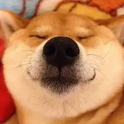 福利来啦,送书送书喽