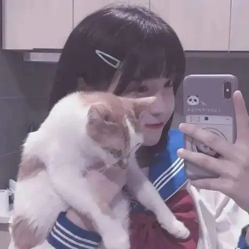 头像图片丨女生头像丨可爱的猫系女头1214