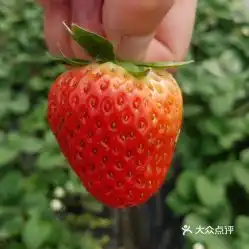 电话,地址,价格,营业时间
