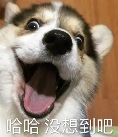 抢购之风轮到柠檬,但它的维c含量还不如小白菜